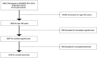 Association between serum globulin and cognitive impairment in older American adults